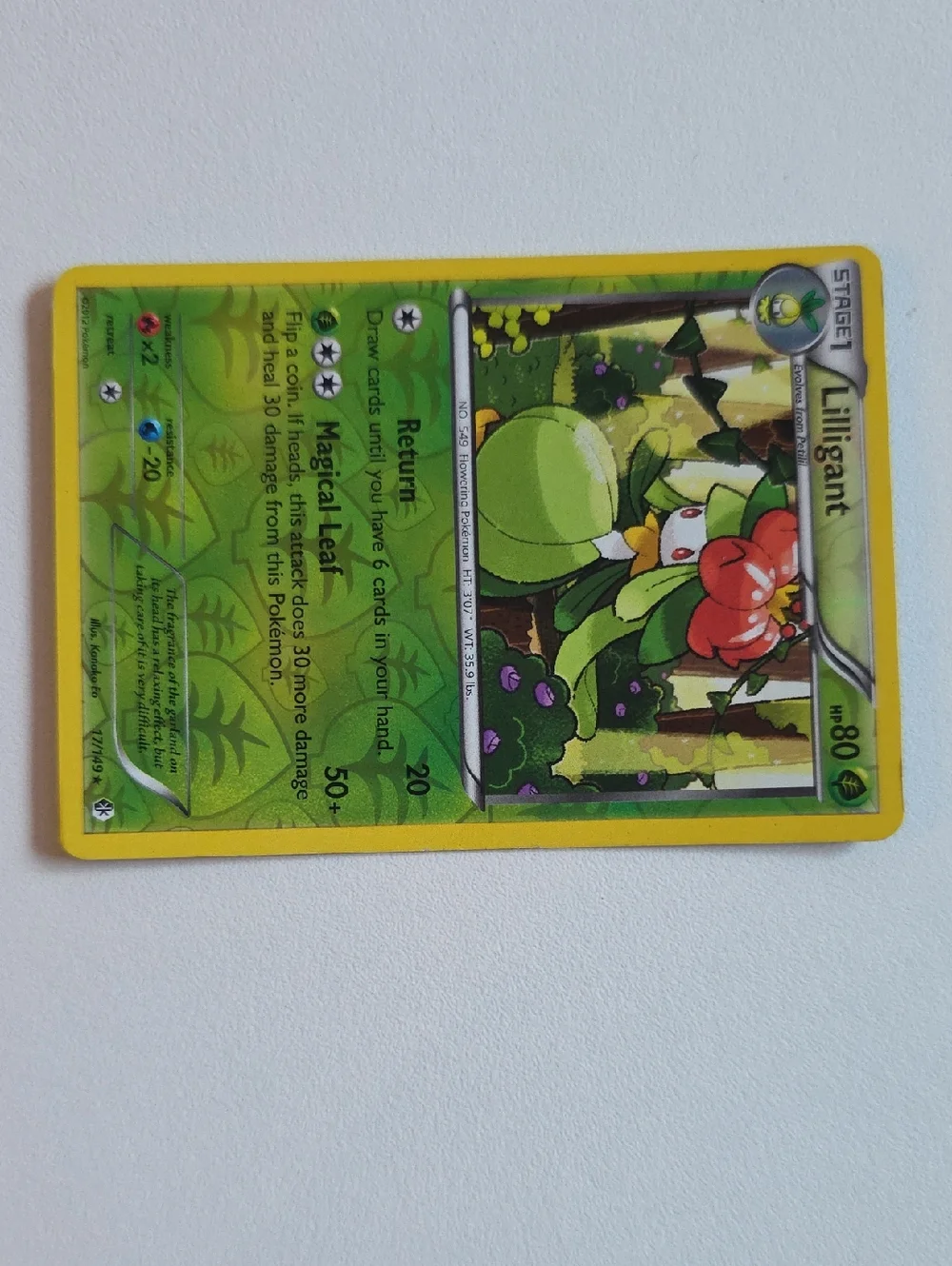 Pokemon Petilil And Lilligant Card